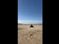 Dune buggies(2)