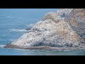 4K Pacific Northwest. Part #2 - Coastal Oregon - 3 HOUR Relaxation Video