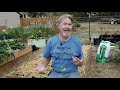How to Amend Raised Garden Beds