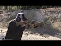 Rifle Shoulder Transition