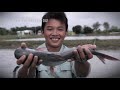The truth behind dory fish | Undercover Asia | Full Episode