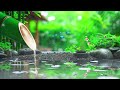 Sleep Music for Deep Sleep, Anxiety and Depressive States, Heal Body, Mind, Water Sounds, Bamboo