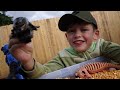 Evan Storm Finds Monster Trucks and a Playset In A Sensory Tub Of Dried  Whole Corn