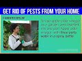 9 APPLE CIDER VINEGAR Hacks To Get Rid Of Pests From Your Home NATURALLY