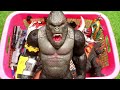 MONSTERVERSE Godzilla,Shin Godzilla,Mechagodzilla,Kingkong,Kamatakun