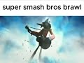 Super Smash Bros Brawl in a nutshell