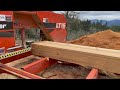 Milling the World’s Most Beautiful Pine? On a Woodmizer LT15 Sawmill into Lumber and Slabs