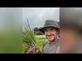 TOUR DAVID BECKHAM'S, BACK YARD GARDEN, HARVESTING ONIONS