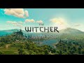 The Witcher 13th Anniversary