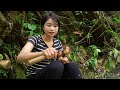 FULL 99 DAY SOLO SURVIVAL IN THE RAIN FOREST - RELAXING IN THE SHELTER WITH THE SATISFYING SOUND