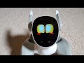 Loona Robot Update 1.3.1 Remote Camera, More Voice Interactions!