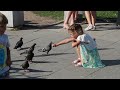 2014-08-30.KHABAROVSK VOKSAL.Fountain 2-Child with Pigeons-B.MVI_5801.CUT 3secs. SlowMo 7secs.Music: