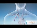 Introducing the Surfacer® Inside-Out® Access Catheter System