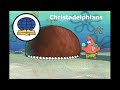 Christian Branches and Denominations portrayed by SpongeBob