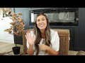 FALL DECOR HAUL 2024 | go through my fall decor with me!