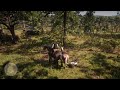 Red Dead Redemption 2_20181108184422