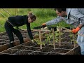 6 STARTING TIPS | Square Foot Gardening In Raised Beds (Do You Know Them ALL?)