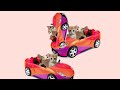 go kitty go! meme animation (i was lazy making this)