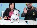 ROBO DOG AIBO VS. RYAN'S DADDY ! Who is the Better Robot Dog ?