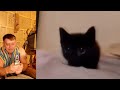 cat cringe fail💀