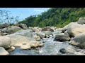 River Sounds for Sleeping & Relaxation | 1 Hour Water White Noise