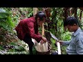 A girl and her boyfriend cut off banana tops to raise ducks and bathe in natural springs