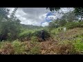 Satisfying Timelapse of clearing out weeds at the backyard. Country side life