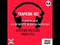 Trapking Gee - Applying Pressure Freestyle.