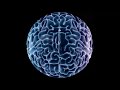 El Universo del Cerebro - FullDome Short