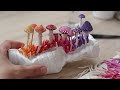 Game of Shrooms 2022 | Rainbow Mushrooms