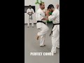 KNOCKOUT FIGHT Technique / KYOKUSHIN Karate👊