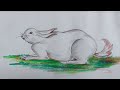 How to draw a Rabbit | Draw a rabbit | Colour drawing | RABBIT | love art | AnimalColour drawaing ||