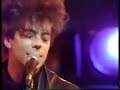 Ian McCulloch & The Prodigal Sons - Faith and Healing live