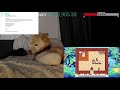 Sleepy Shiba Stream - Game Analysis