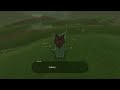 The most annoying korok - Hole in one