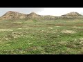 Prairie Dog Town in Theodore Roosevelt National Park: North Dakota Wildlife Observation