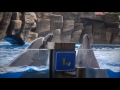 Batumi Dolphinarium - before the show