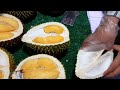 Montok Tembem Daging Durian Musang King | Ninja Fruit | Cutting Fruit |