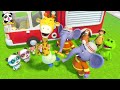 Rescue Chameleon Mission +More | Super Rescue Team Collection | Best Cartoon Collection
