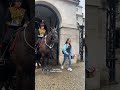 Get in the Horse Box, she instantly REGRETS IT.  Guard DOES THIS.