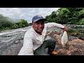 PESCARIA COMEÇOU COM TRAIRÃO NA VARA DE BAMBU E DEPOIS SÓ MATRINXÃ GIGANTE.