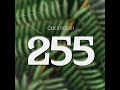 255 (feat. Belle 9)