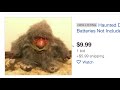 exploring ebay's paranormal section