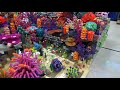 Marine Biologist Creates Amazing LEGO Coral Reef