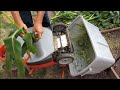 Chop Corn Stalks Using An Electric Lawn Mower