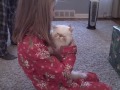 Anna's surprise Christmas kitten