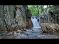 1 Hour of Serene Nature Sound🎧Relax, Meditate, or Study with Guryong Waterfall ASMR