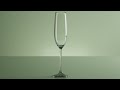 Champagne glass 3D modeling Blender. Timelapse