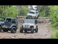 the Crew coming down some steps on the Marblehead trail at Drummond Island MI