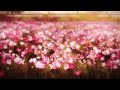 doxx & feint － the pink fields [slowed + reverb]